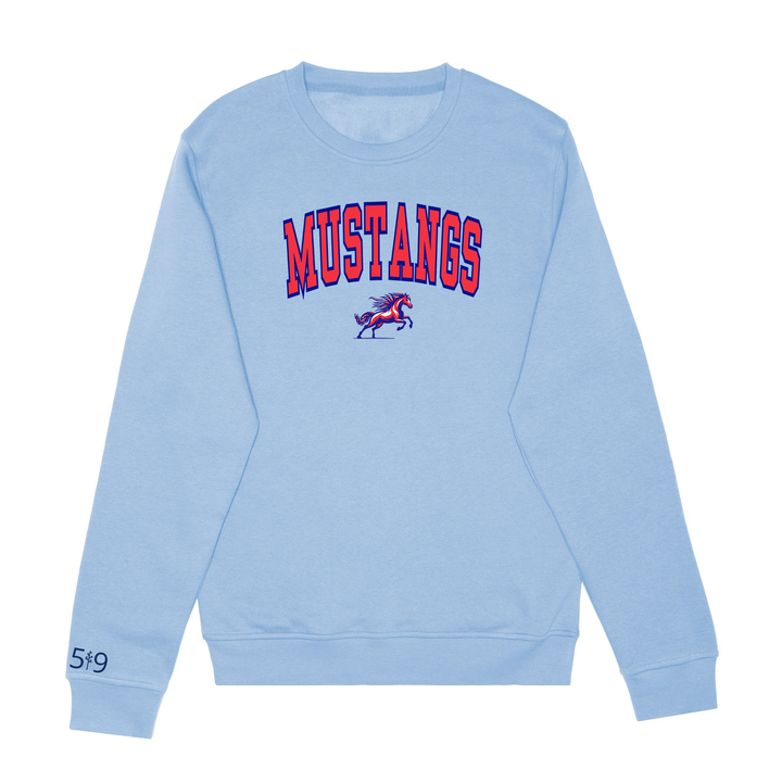 DELAWARE VARSITY CREW (UNISEX)