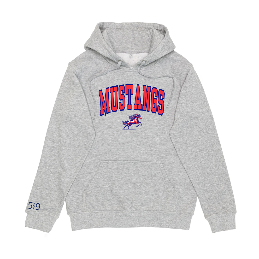 DELAWARE VARSITY HOODIE (YOUTH)