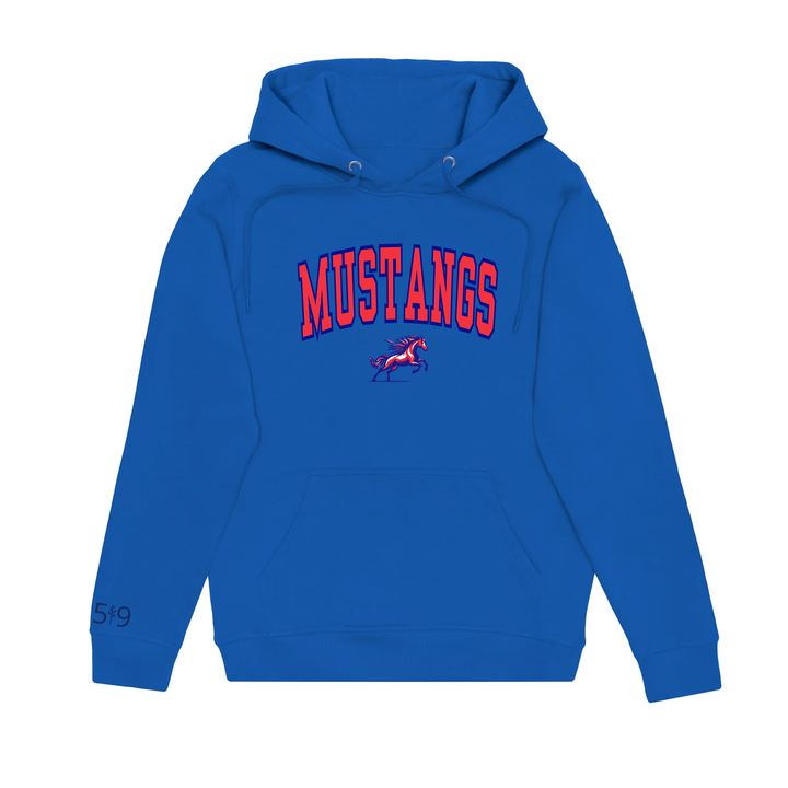 DELAWARE VARSITY HOODIE (UNISEX)