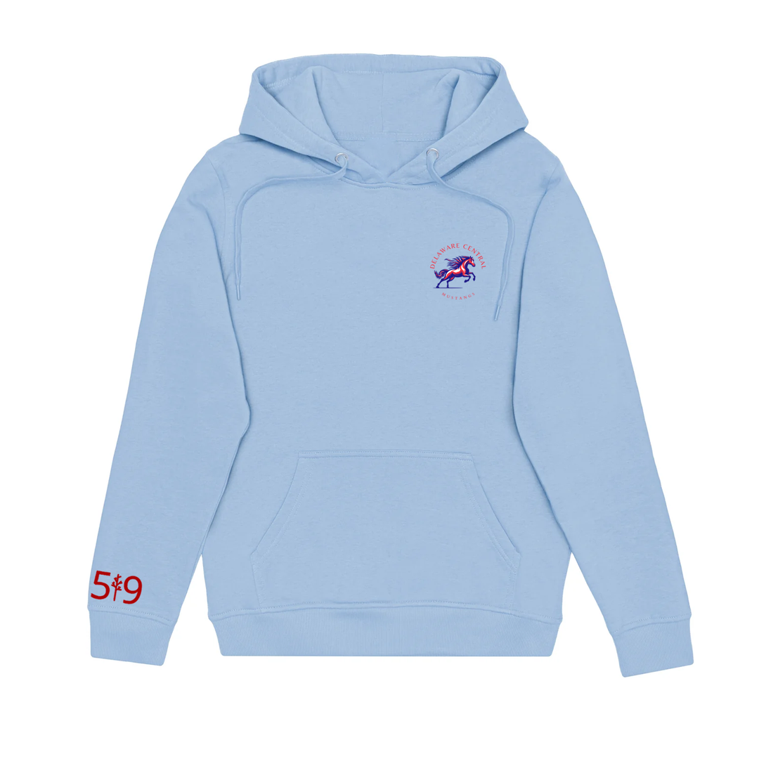 DELAWARE CENTRAL HOODIE (UNISEX)