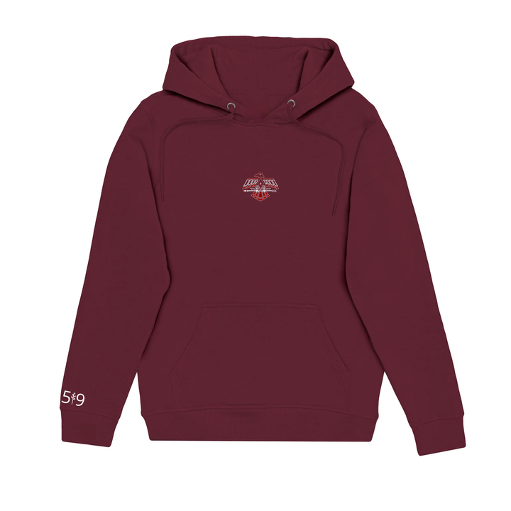 THUNDERBIRDS EMBROIDERED HOODIE (UNISEX)