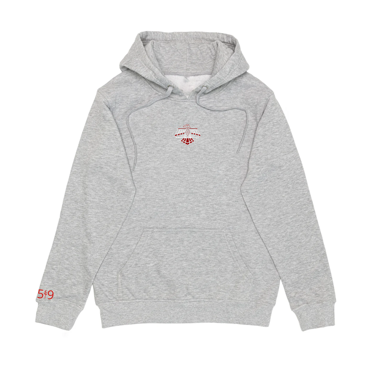 THUNDERBIRDS EMBROIDERED HOODIE (UNISEX)