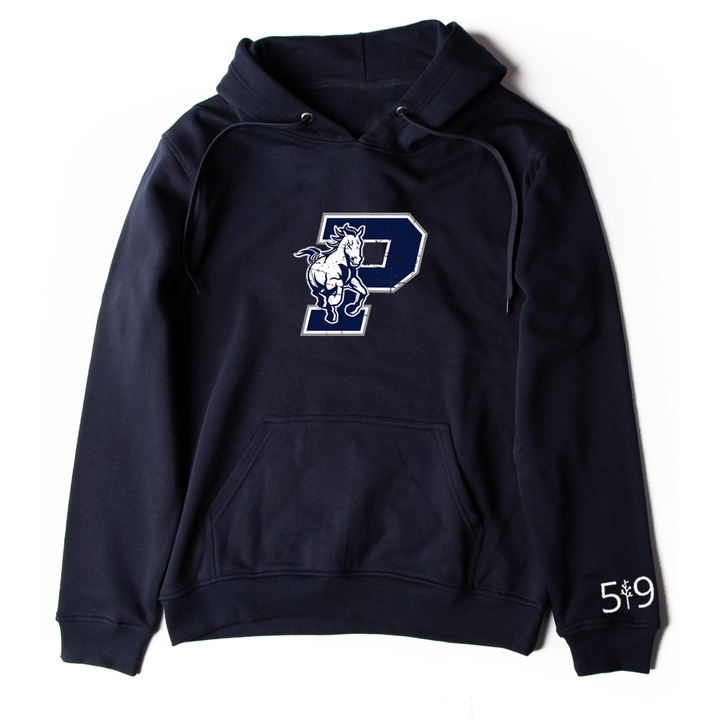 PARKSIDE DISTRESSED HOODIE (UNISEX)