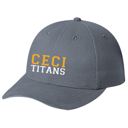 CECI EMBROIDERED DAD CAP