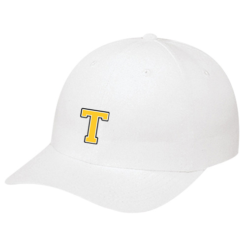 TITANS "T" EMBROIDERED DAD CAP