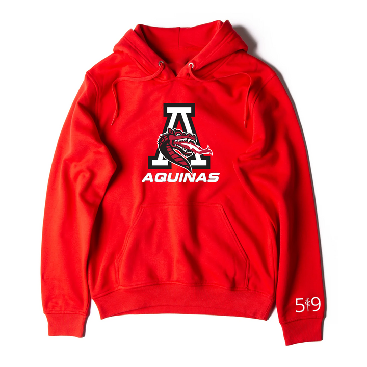 AQUINAS DRAGON HOODIE (UNISEX)