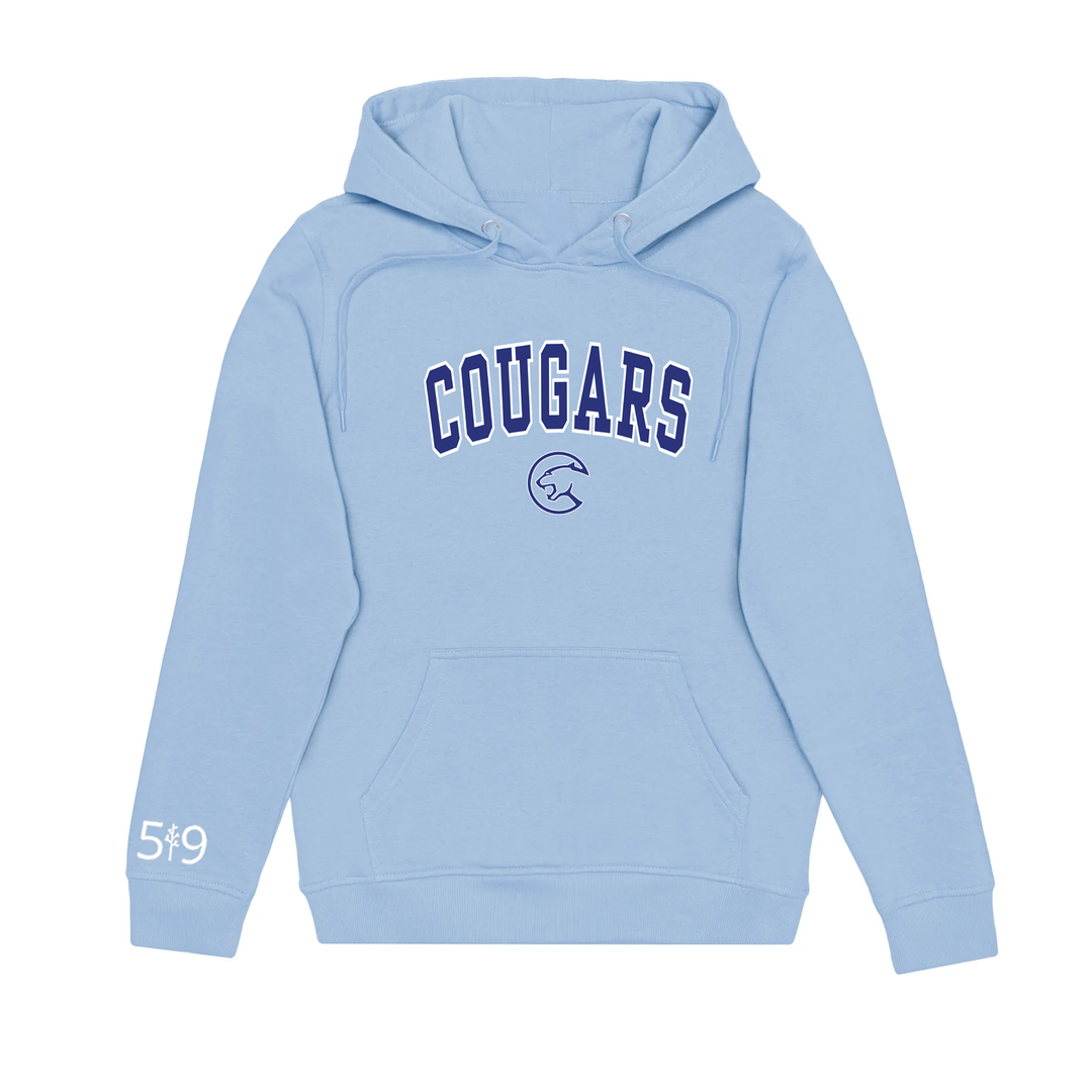 MONTCALM VARSITY HOODIE (UNISEX)