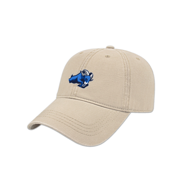 RIVERSIDE EMBROIDERED DAD CAP