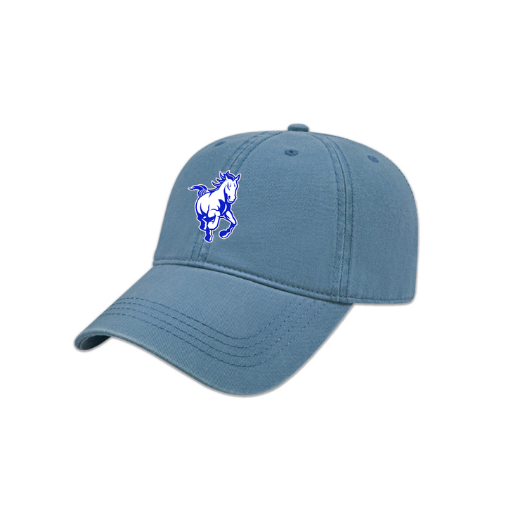 SDPS STAMPEDERS DAD CAP