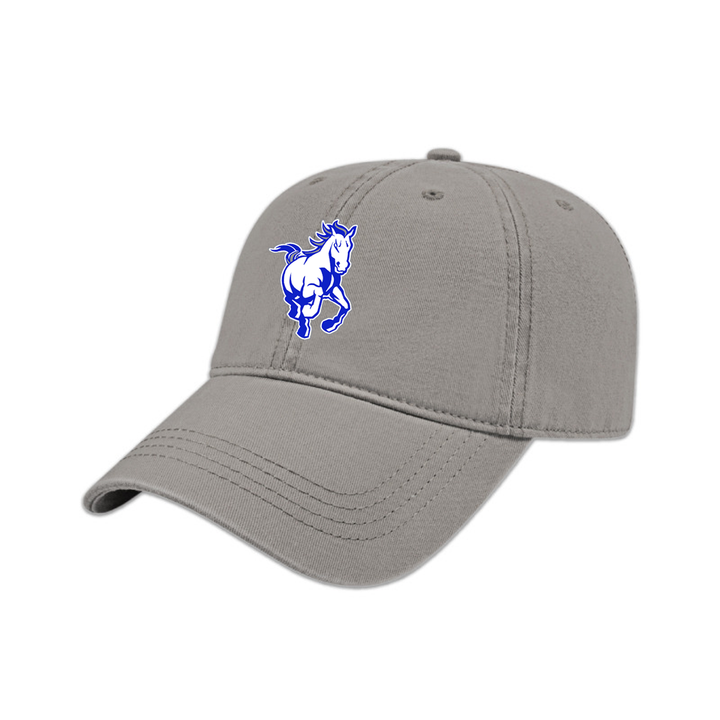 SDPS STAMPEDERS DAD CAP