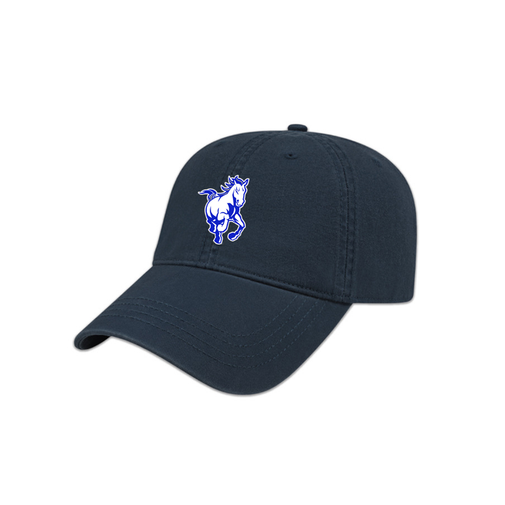 SDPS STAMPEDERS DAD CAP