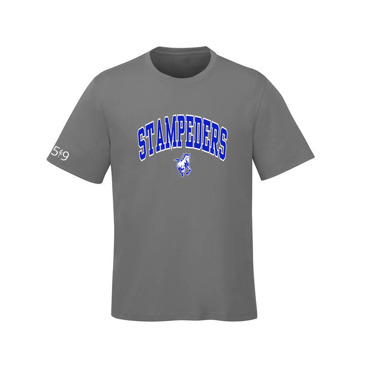 SOUTH DORCHESTER VARSITY ATHLETIC TEE (MENS)