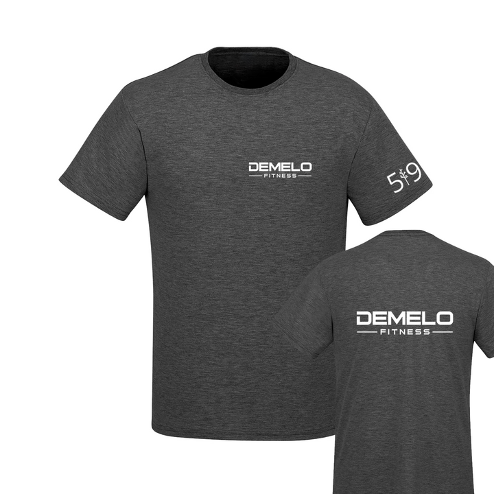 DEMELOFITNESS TEE (MENS)