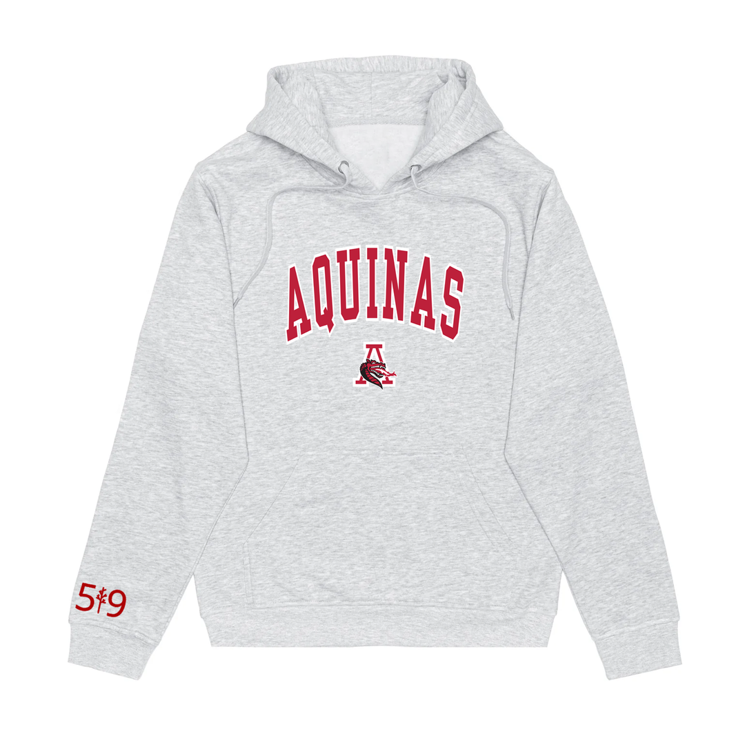 FLAMES VARSITY HOODIE (UNISEX)