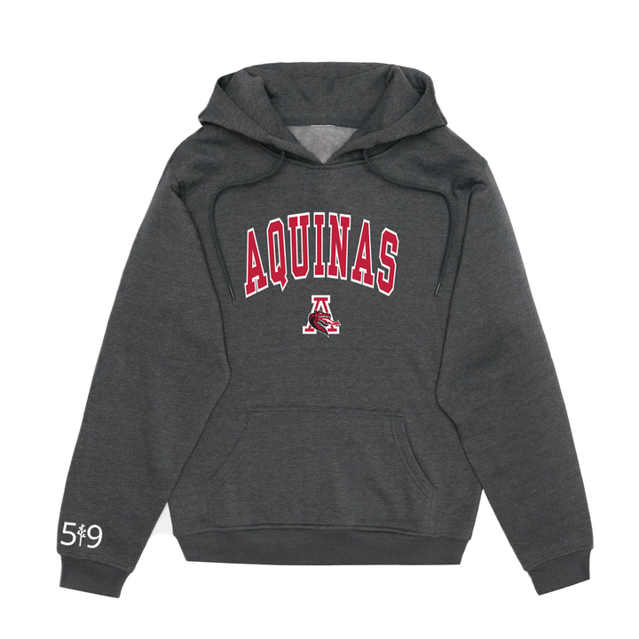 FLAMES VARSITY HOODIE (UNISEX)