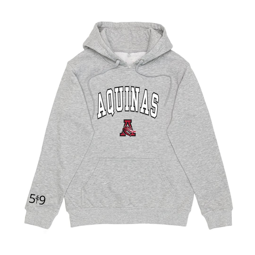 FLAMES VARSITY HOODIE (UNISEX)