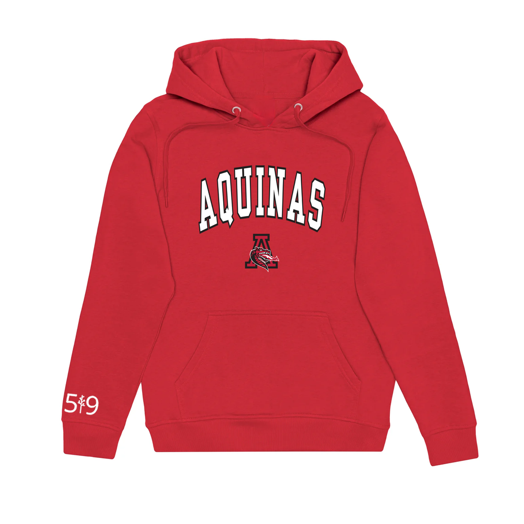 FLAMES VARSITY HOODIE (UNISEX)