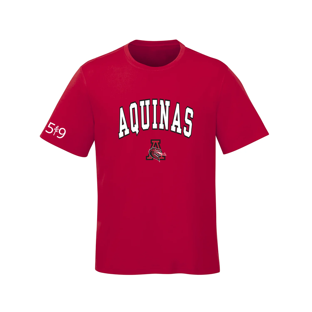 FLAMES VARSITY TEE (MENS)