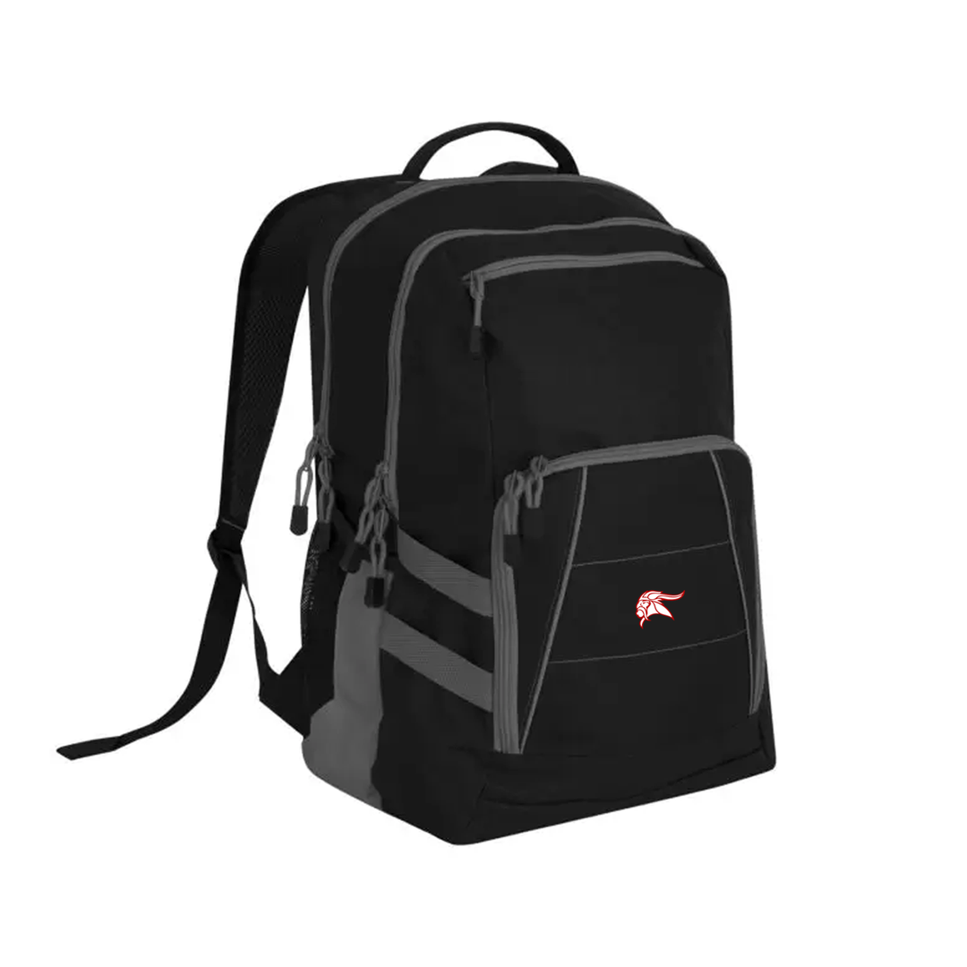 VIKINGS EMBROIDERED VARSITY BACKPACK