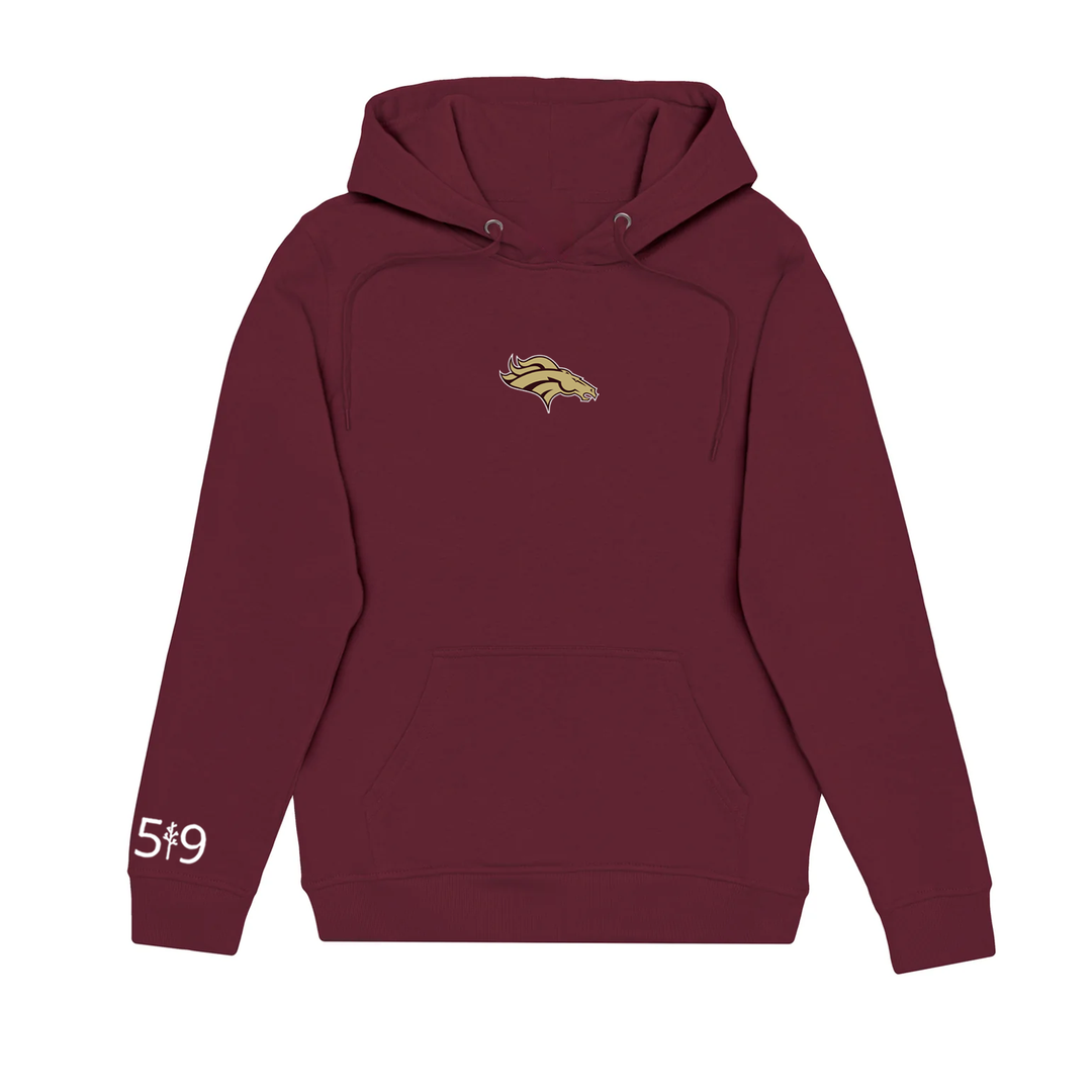 BRONCOS EMBROIDERED HOODIE (UNISEX)