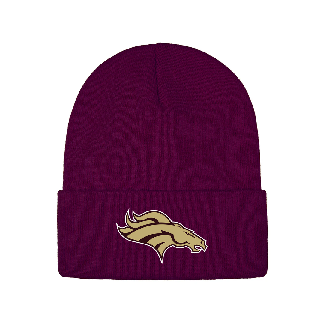 BRONCOS EMBROIDERED TOQUE