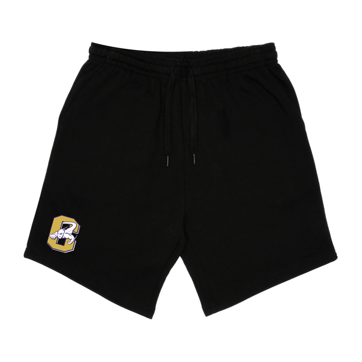 CENTRAL EMBROIDERED SWEAT SHORTS (MENS)