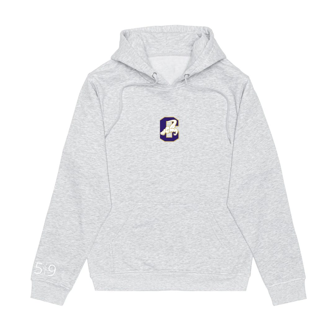 CENTRAL EMBROIDERED HOODIE (UNISEX)