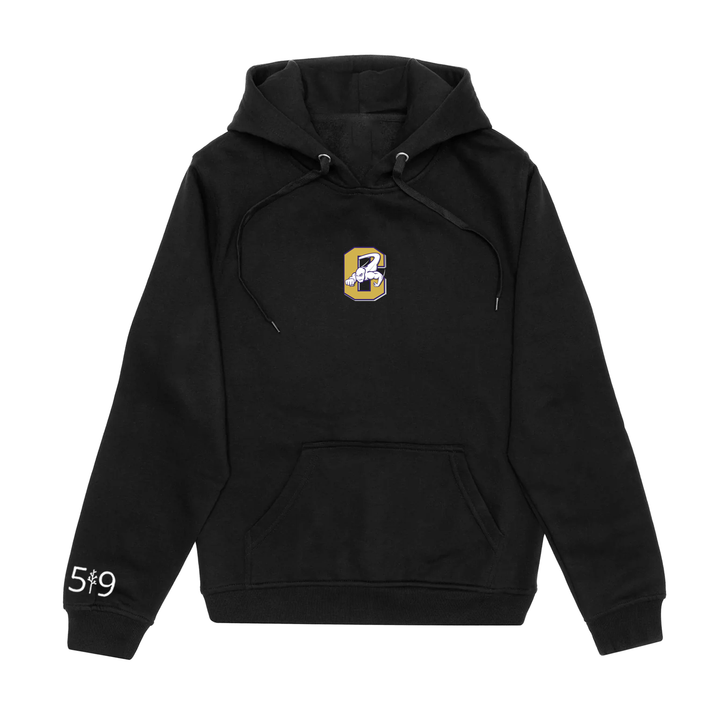 CENTRAL EMBROIDERED HOODIE (UNISEX)