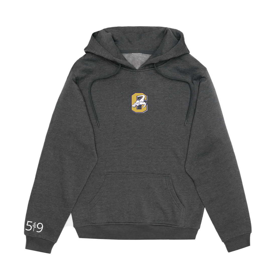 CENTRAL EMBROIDERED HOODIE (UNISEX)