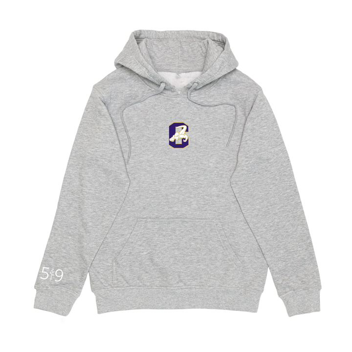 CENTRAL EMBROIDERED HOODIE (UNISEX)