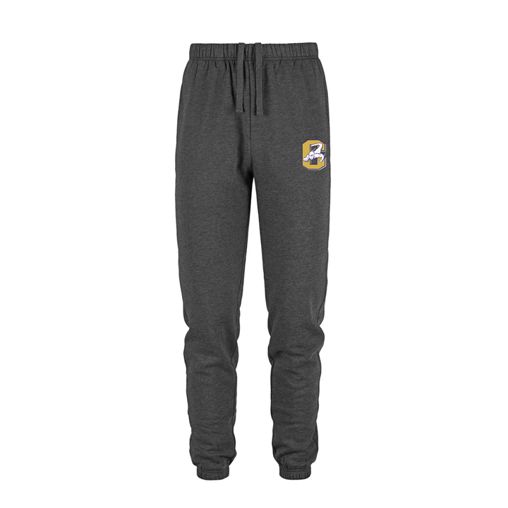 CENTRAL EMBROIDERED SWEATPANTS (UNISEX)