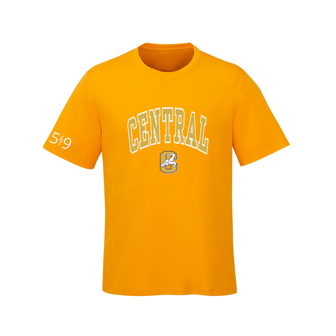 CENTRAL VARSITY TEE (MENS)