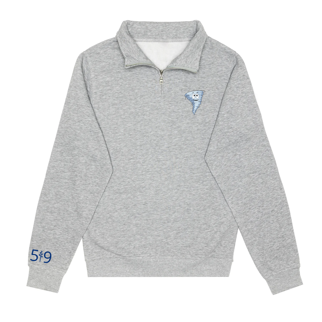 DYNAMOS EMBROIDERED 1/4 ZIP (UNISEX)