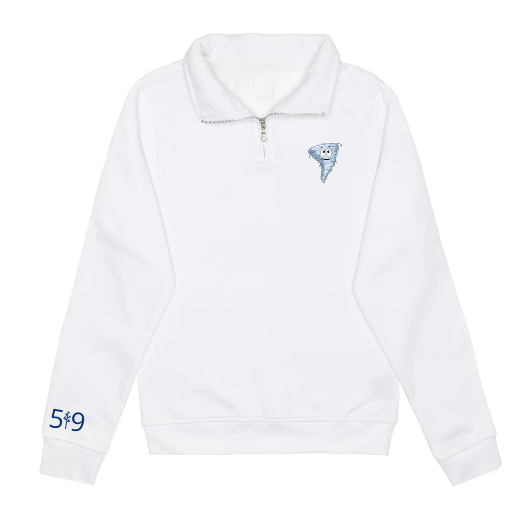 DYNAMOS EMBROIDERED 1/4 ZIP (UNISEX)