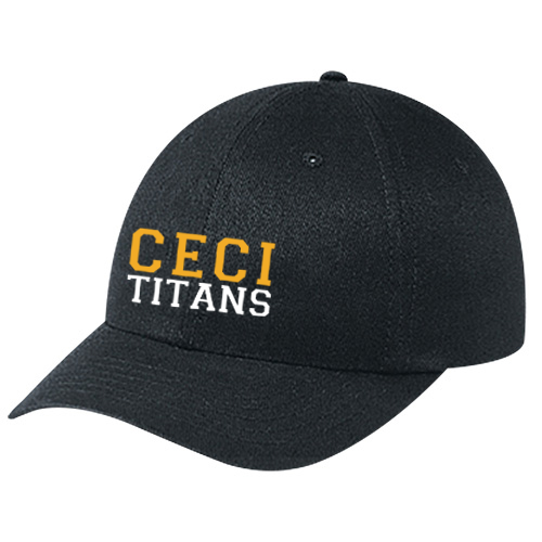 CECI EMBROIDERED DAD CAP