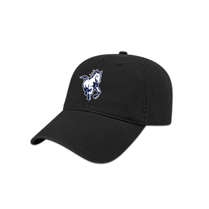 STAMPEDERS EMBROIDERED DAD CAP