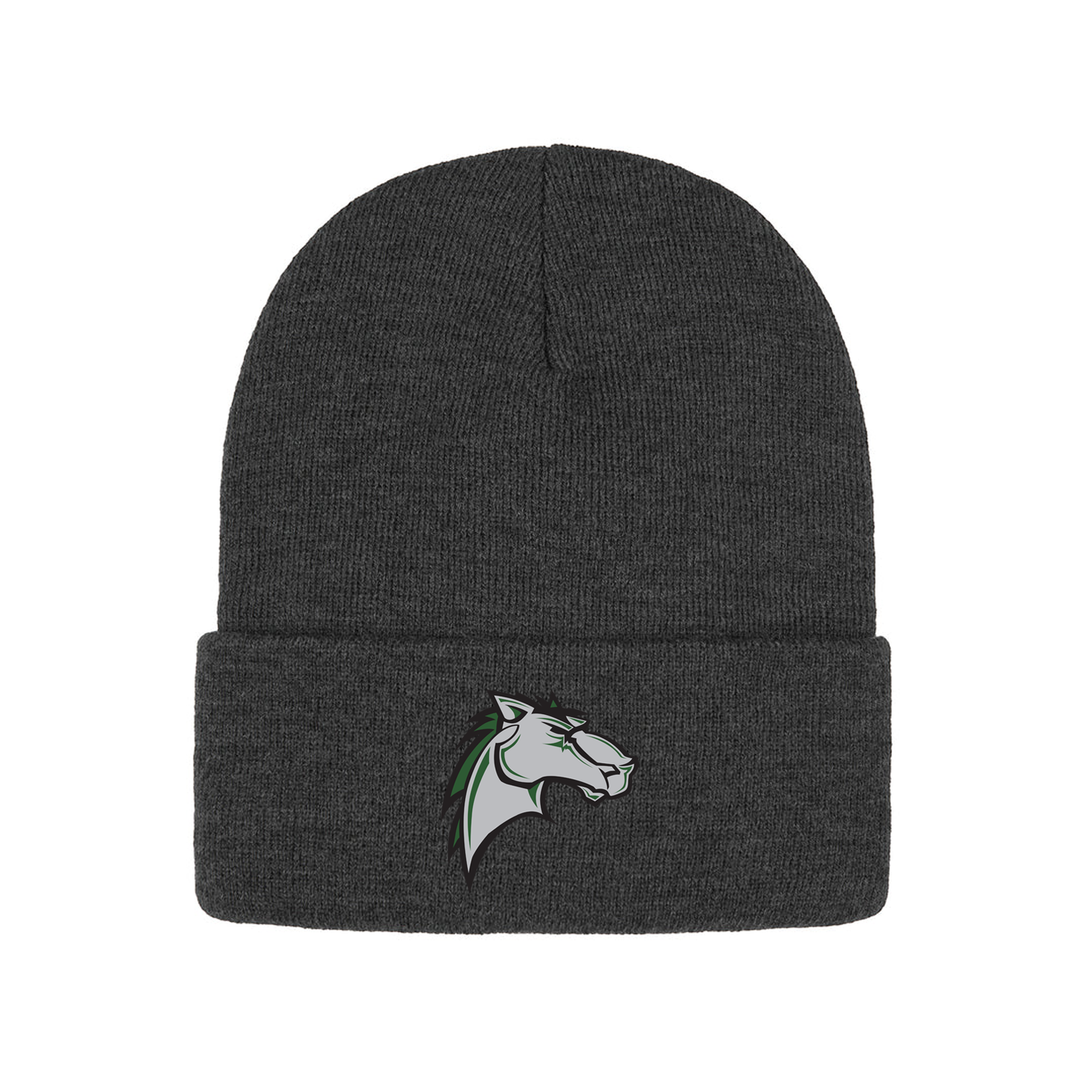 MITCHELL HEPBURN EMBROIDERED TOQUE