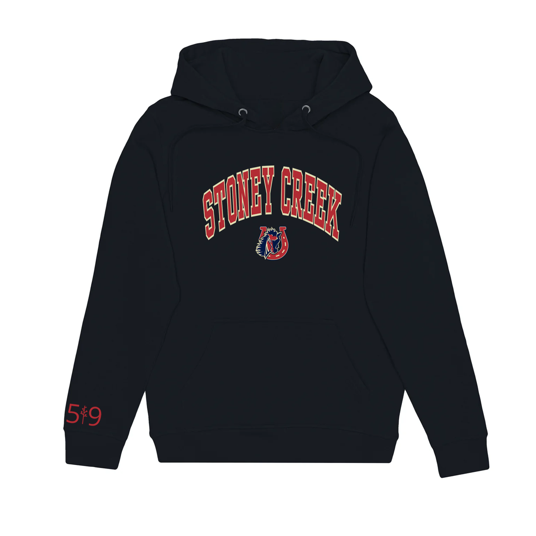 Stoney hoodie sale