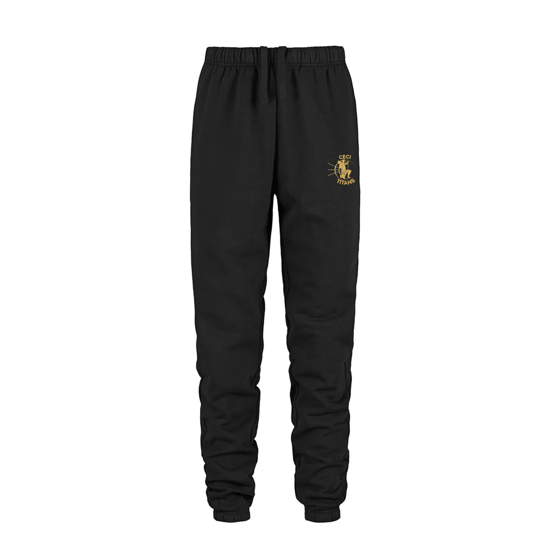 TITANS SCULPTURE SWEATPANTS (UNISEX)