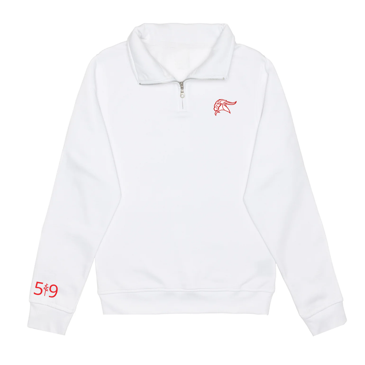 VIKINGS EMBROIDERED 1/4 ZIP (UNISEX)