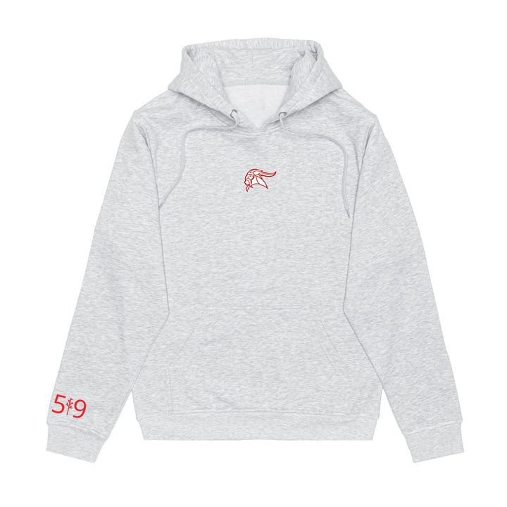 VIKINGS EMBROIDERED HOODIE (UNISEX)