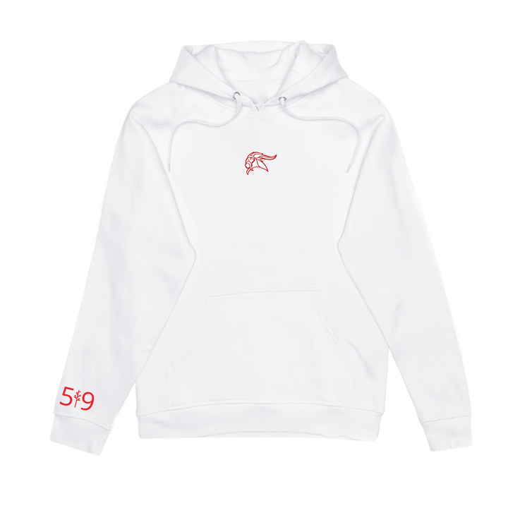 VIKINGS EMBROIDERED HOODIE (UNISEX)